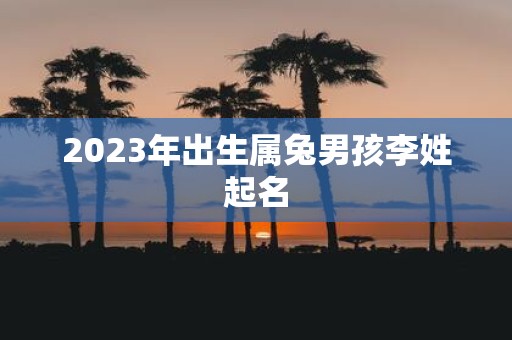 2023年出生属兔男孩李姓起名