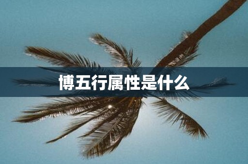 博五行属性是什么