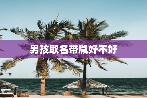 男孩取名带胤好不好