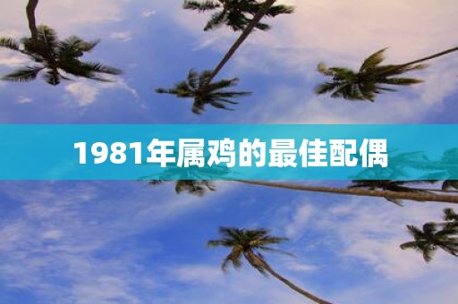 1981年属鸡的最佳配偶