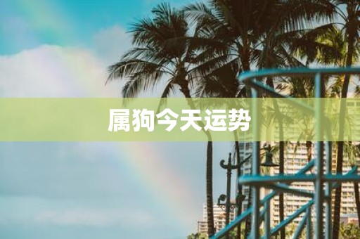 属狗今天运势