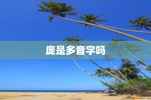 庞是多音字吗
