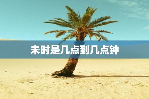 未时是几点到几点钟