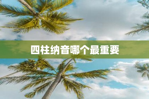 四柱纳音哪个最重要