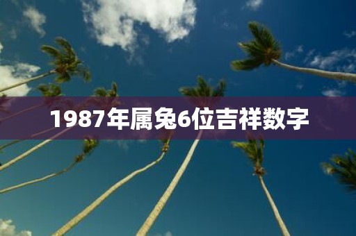 1987年属兔6位吉祥数字