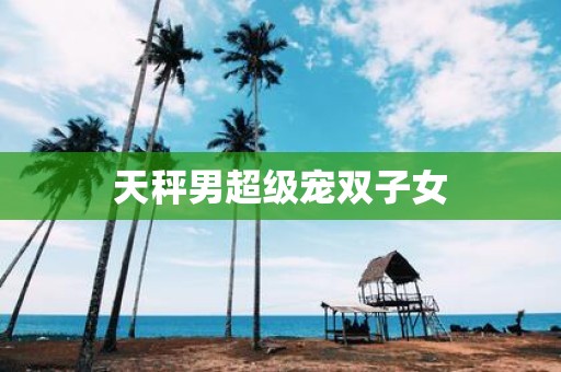天秤男超级宠双子女