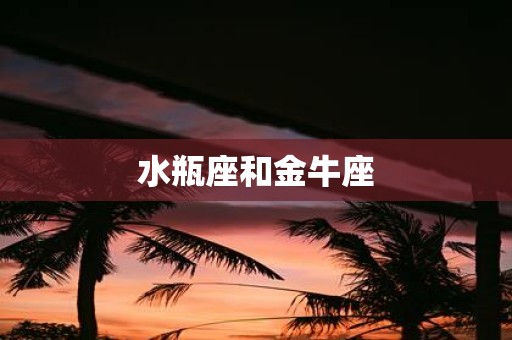 水瓶座和金牛座