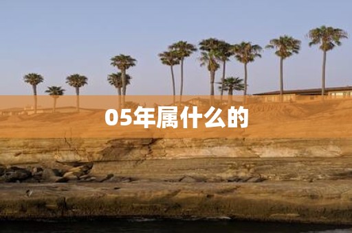 05年属什么的