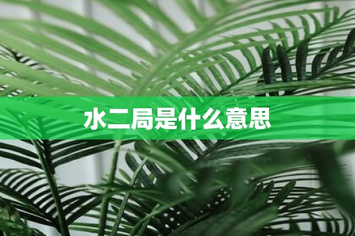 水二局是什么意思
