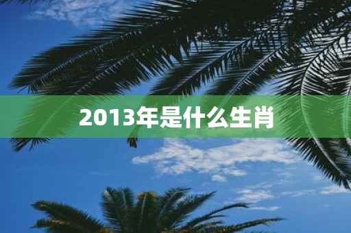 2013年是什么生肖
