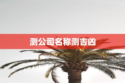 测公司名称测吉凶
