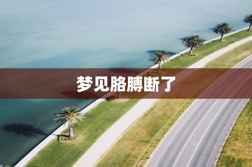 梦见胳膊断了