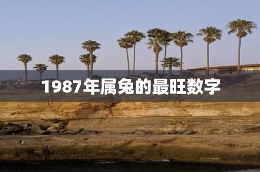 1987年属兔的最旺数字