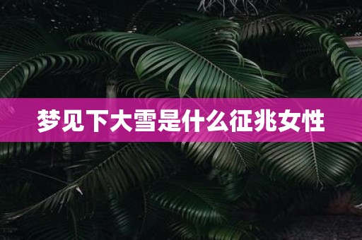 梦见下大雪是什么征兆女性