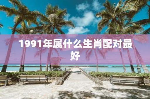 1991年属什么生肖配对最好