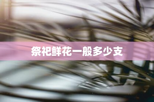 祭祀鲜花一般多少支