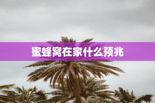 蜜蜂窝在家什么预兆