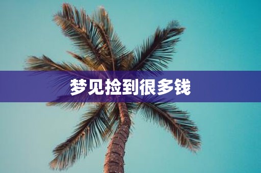 梦见捡到很多钱