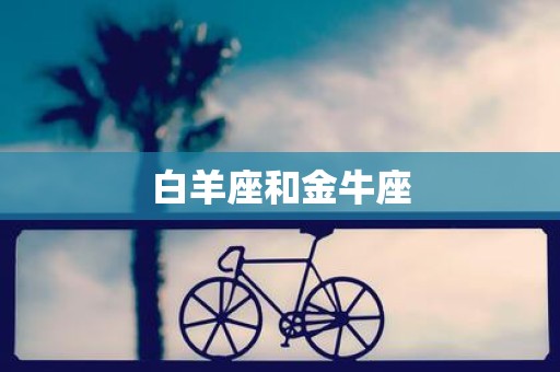白羊座和金牛座