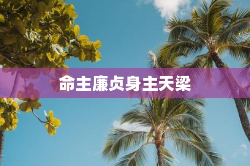 命主廉贞身主天梁