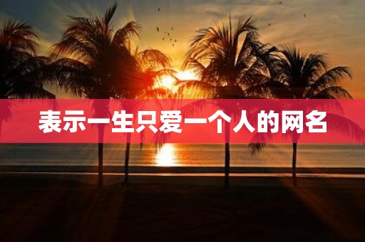 表示一生只爱一个人的网名