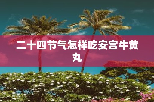 二十四节气怎样吃安宫牛黄丸