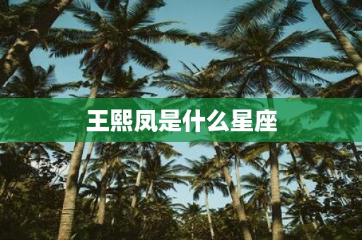 王熙凤是什么星座