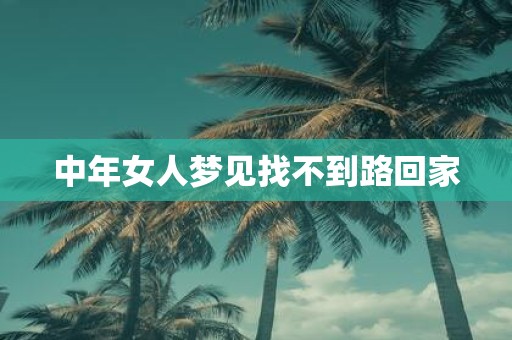 中年女人梦见找不到路回家