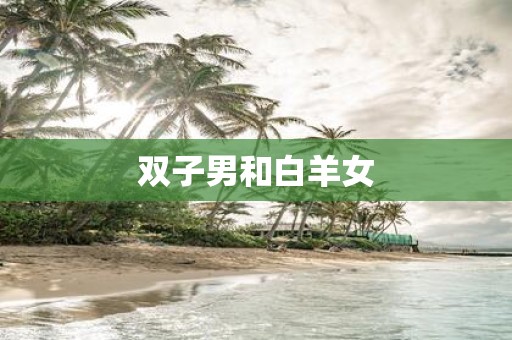 双子男和白羊女