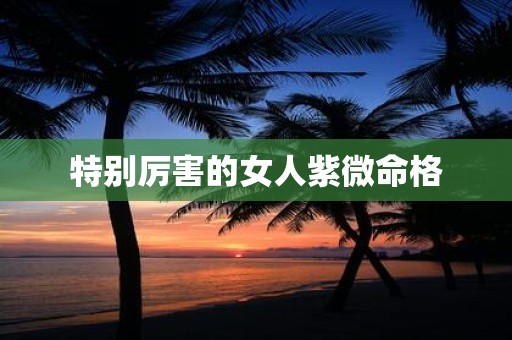 特别厉害的女人紫微命格