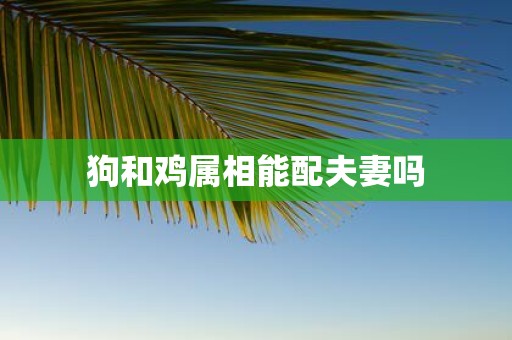 狗和鸡属相能配夫妻吗