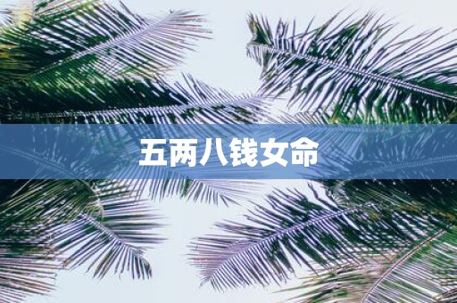 五两八钱女命