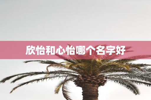 欣怡和心怡哪个名字好