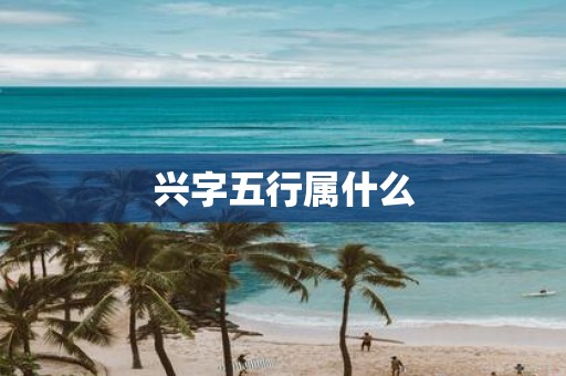 兴字五行属什么