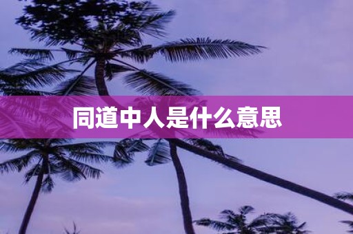 同道中人是什么意思