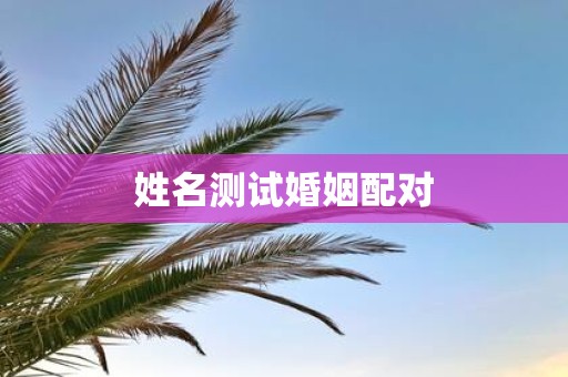 姓名测试婚姻配对