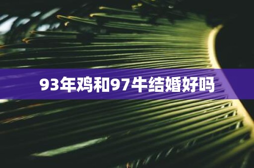 93年鸡和97牛结婚好吗