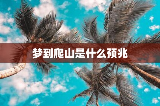 梦到爬山是什么预兆