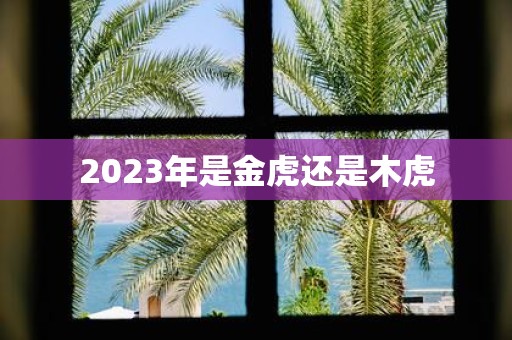 2025年是金虎还是木虎