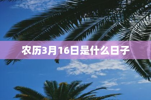 农历3月16日是什么日子