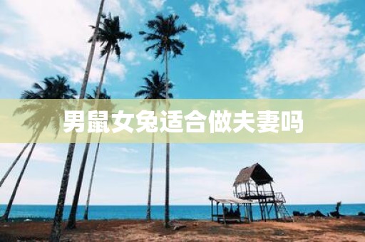 男鼠女兔适合做夫妻吗