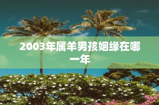 2003年属羊男孩姻缘在哪一年