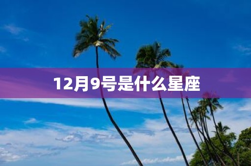 12月9号是什么星座