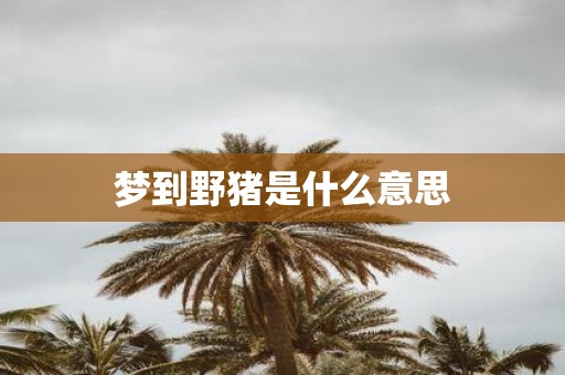 梦到野猪是什么意思