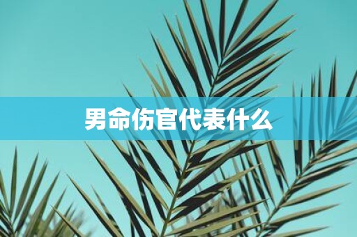 男命伤官代表什么