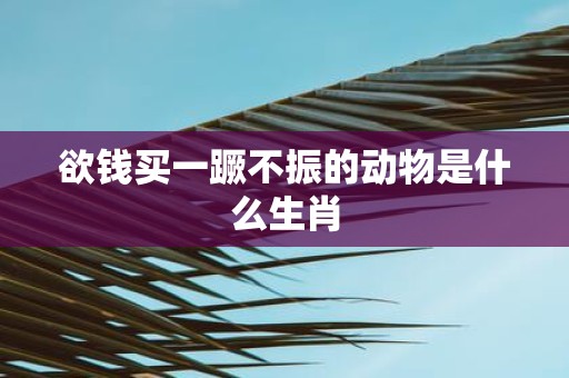 欲钱买一蹶不振的动物是什么生肖