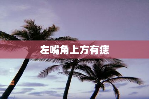 左嘴角上方有痣