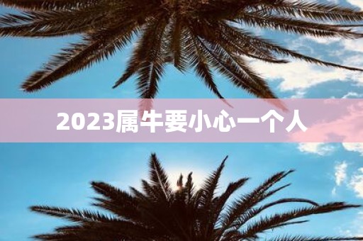 2025属牛要小心一个人
