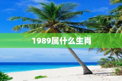 1989属什么生肖