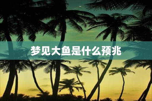 梦见大鱼是什么预兆